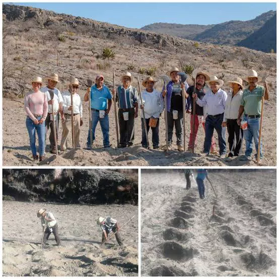 62F2533A-8DC5-4A9E-8138-1A77A4C6483D