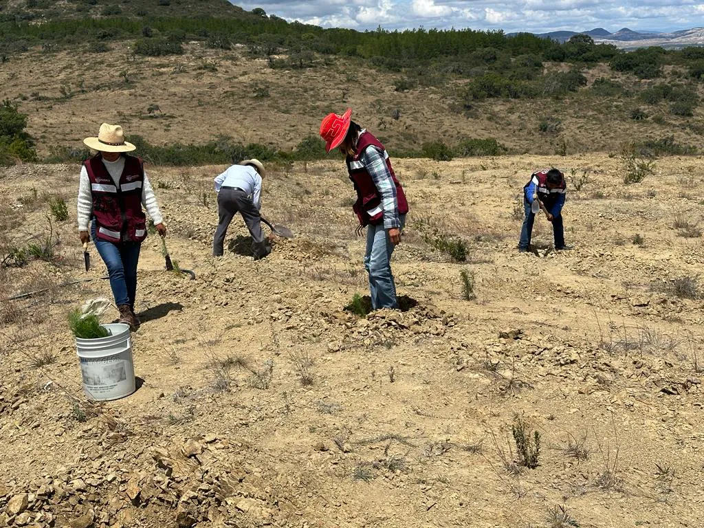 88DEE48B-2341-4C66-B628-99A522736773