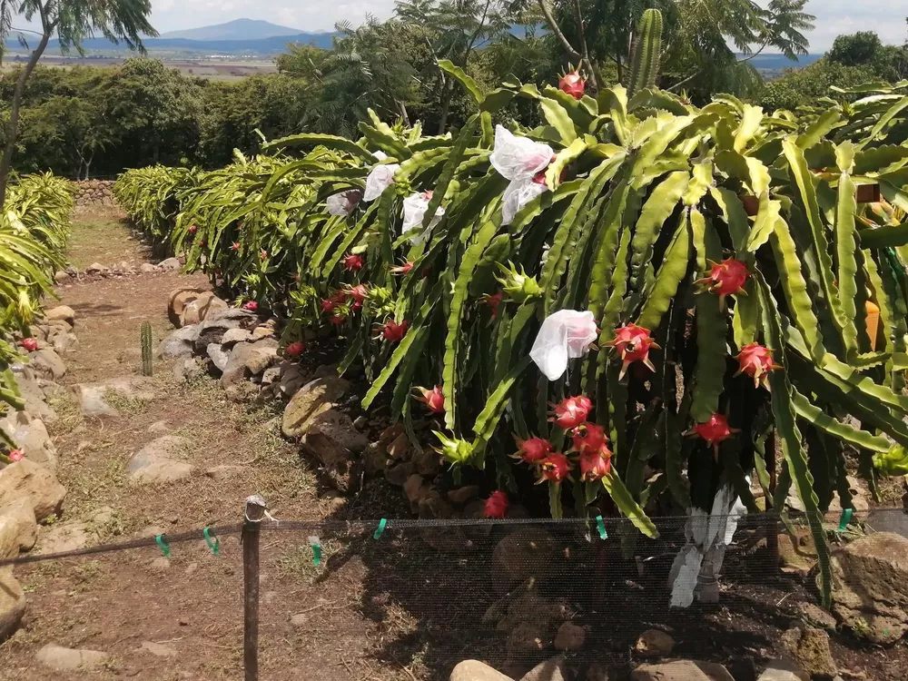 2E8834B1-FD95-40B0-90EC-0F48D6B65815