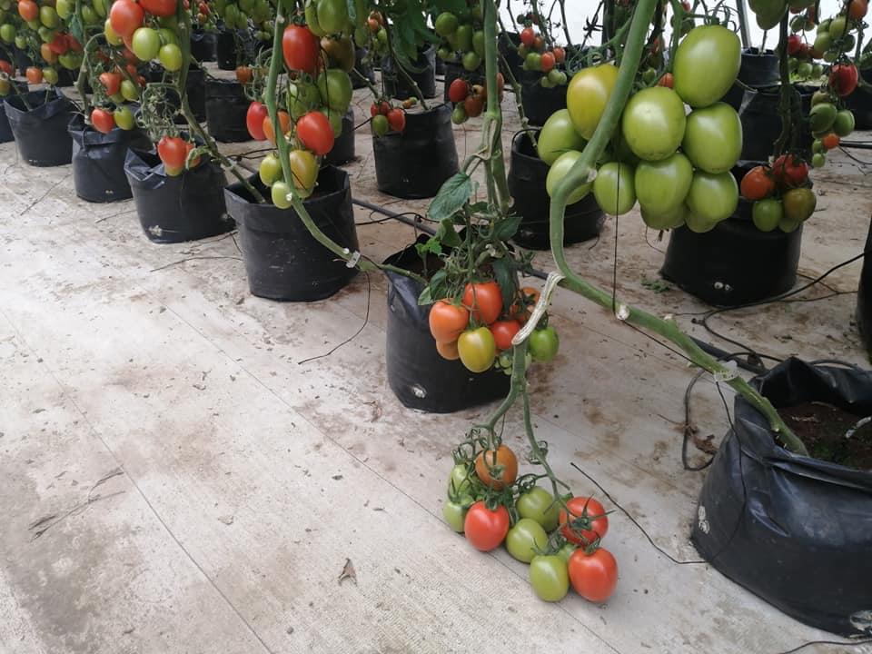 7769E34A-D56D-4660-9088-F9BD5426C673