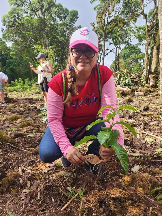 221E3F9A-FC20-4CC6-85D2-826C4DA5F58B