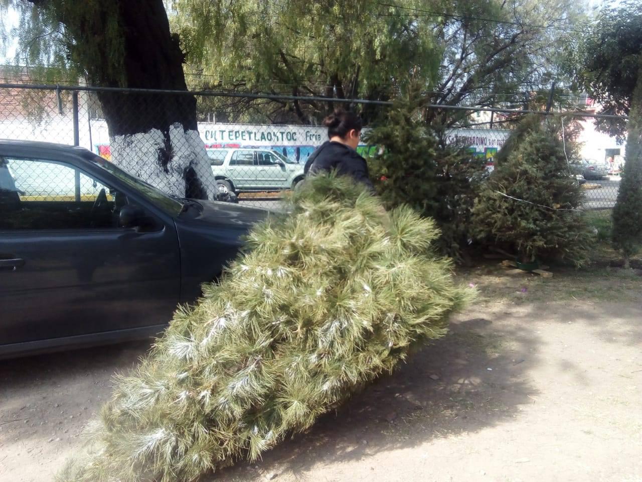 2BC0C7B8-919B-4CF3-9E4F-400946394053