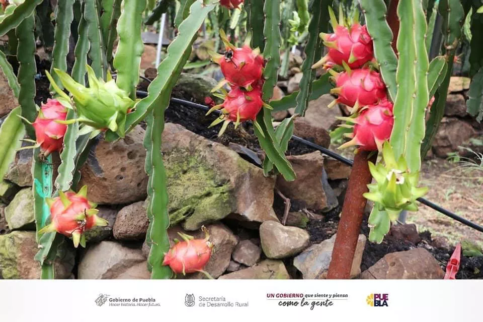 0AD97C84-8A01-471F-857E-8CBA30999089