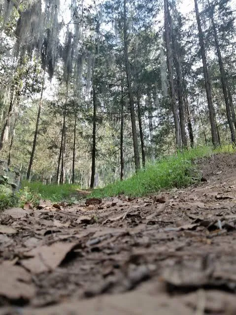 2BCA5C67-A6ED-436F-A214-00E486E0953E