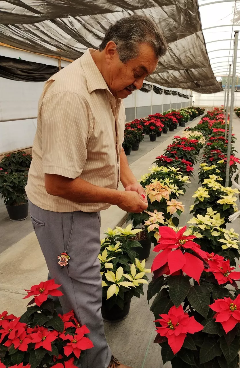 A491DDF0-2A90-4D22-9B79-AEEBFDB4162F