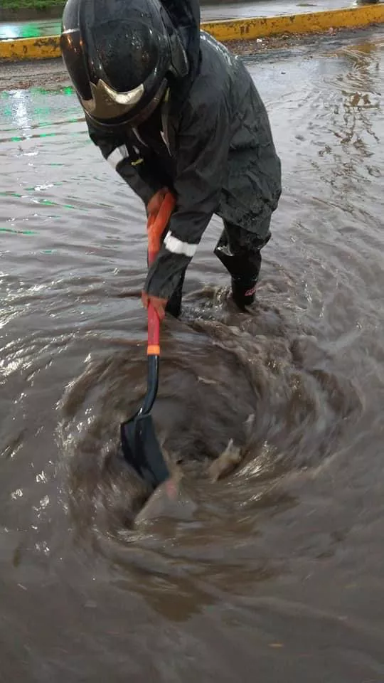 872B48B6-DD72-472F-841A-9CCF03D86372