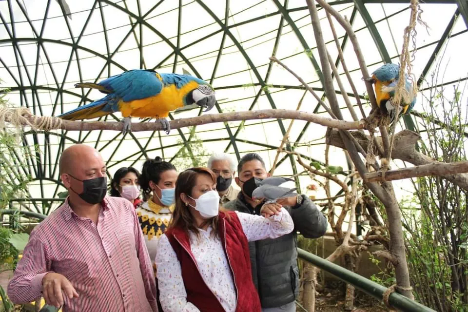 CE76B36F-C9EE-4804-B28D-7222762A49DA