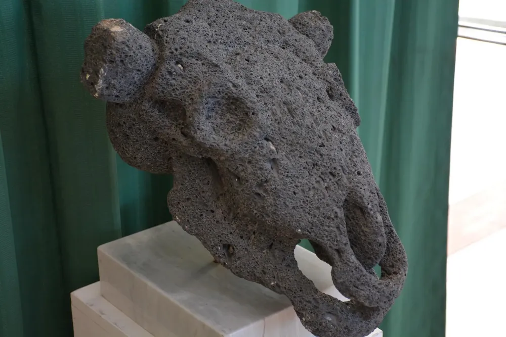 C1130279-BEAF-47E4-9F4A-D0D802AA4AB1