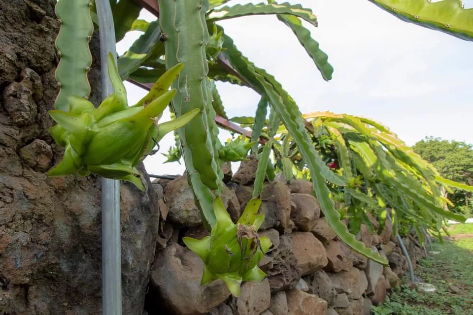 83F86927-A257-445F-9B08-D4D0EAF9F7E6