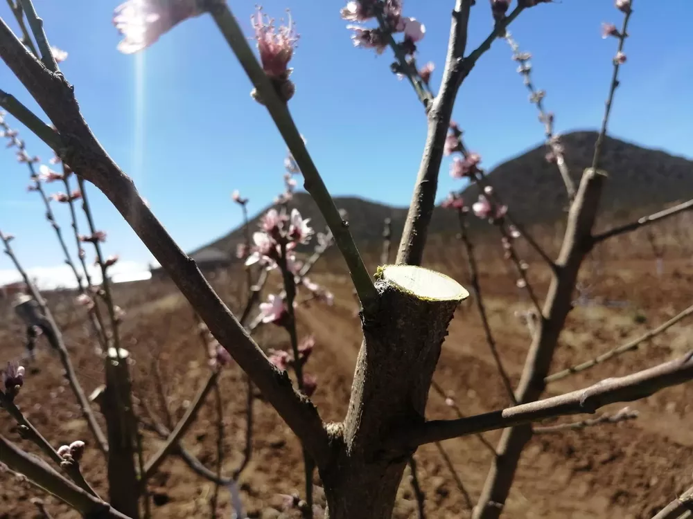 9B0DB13C-1D8F-4056-A361-23686982C837