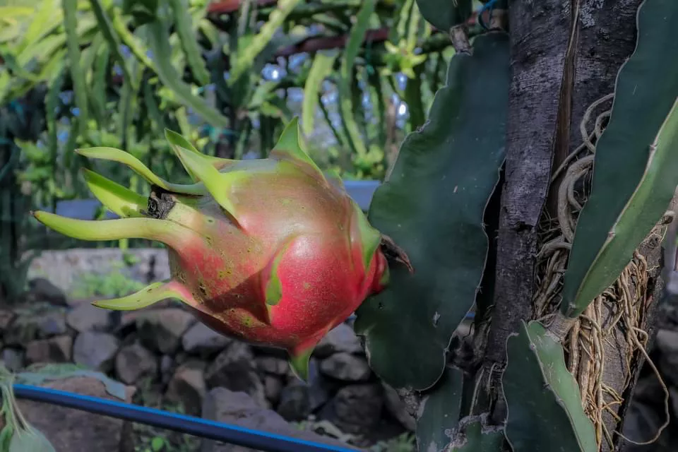 0335B95A-C4F8-4380-99B8-4378E3F20376