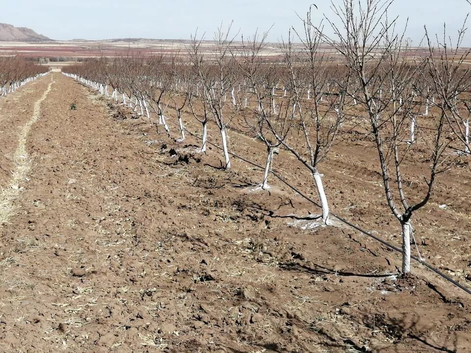 8500C1C2-82FB-4CE5-9C34-FB8554375393