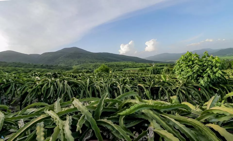 20DD2F74-7A8E-4348-9EB4-60336A2CD7D1