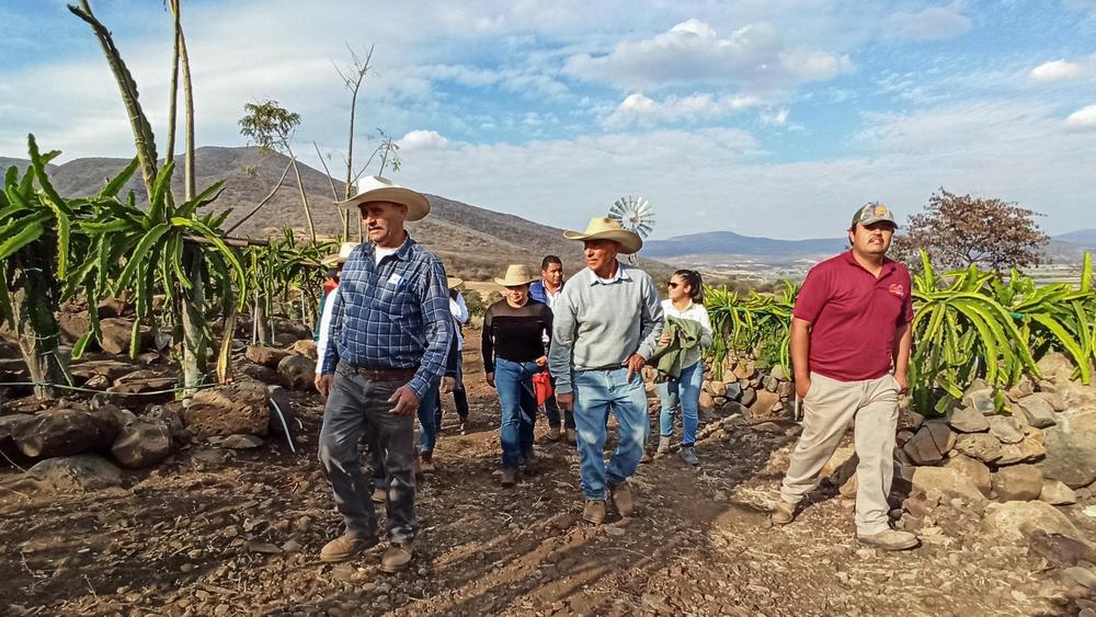 93248BE1-103C-4866-8544-E741E05CC600