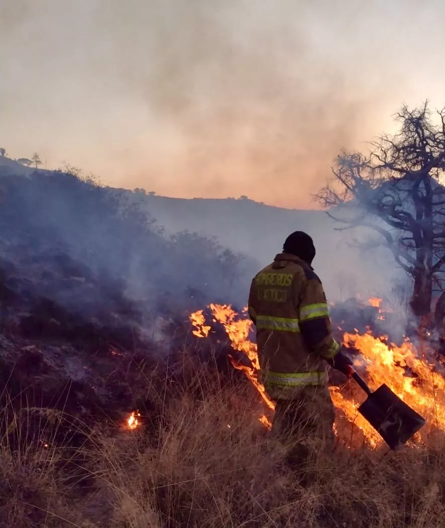 C0162A85-283B-449C-A33E-16F7E932F49C