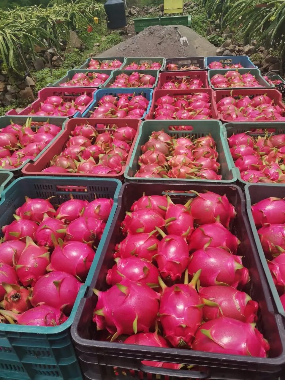 9727F958-6F80-4FE7-99FE-BB208D39C298