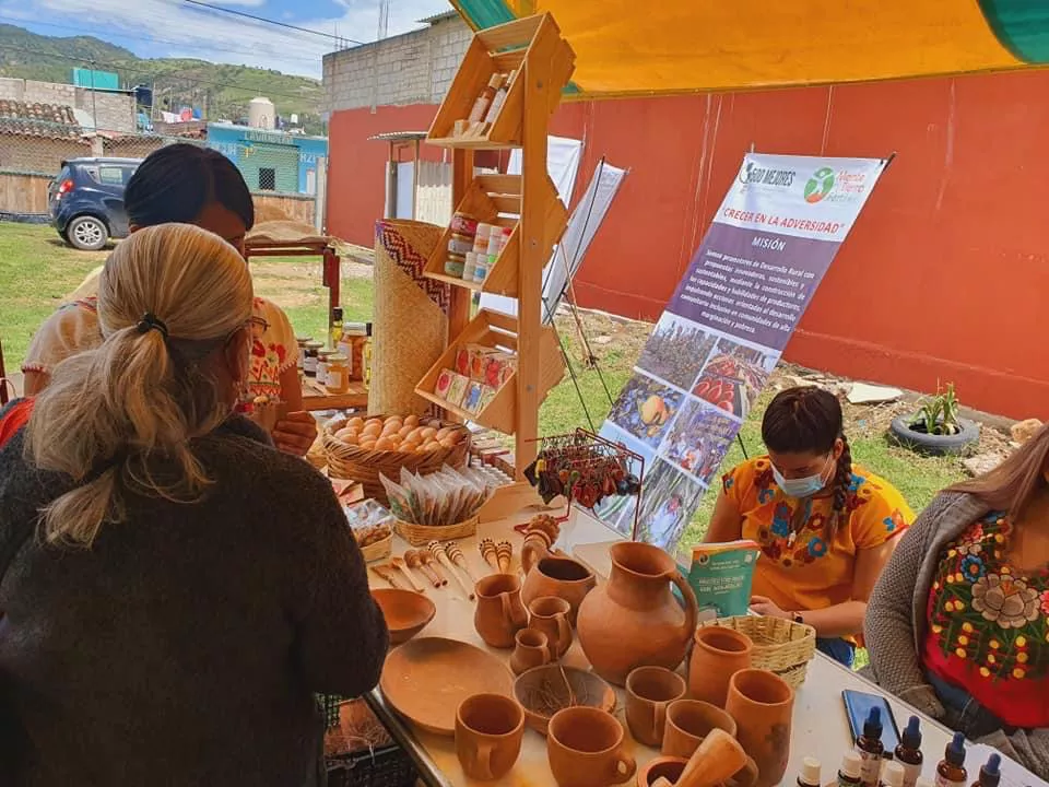 6D948EA0-F0AB-4766-8C20-6D1FF2A9B4E5