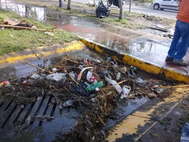 WhatsApp Image 2021-05-12 at 12.53.11