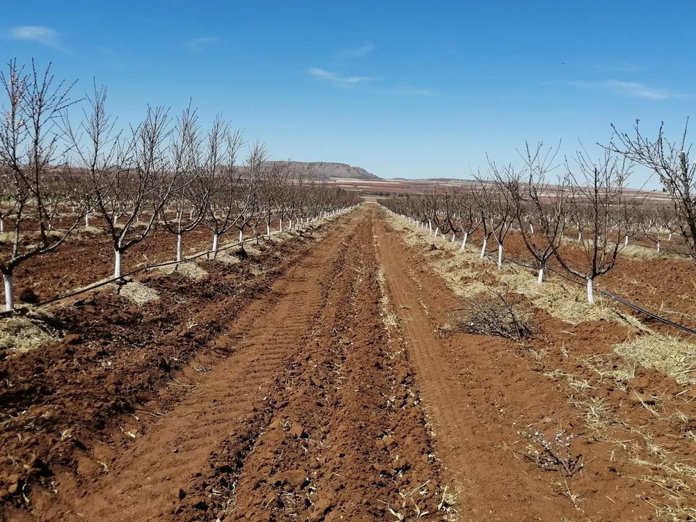 AC100973-2F52-44BB-88FD-8A4C55F16B48