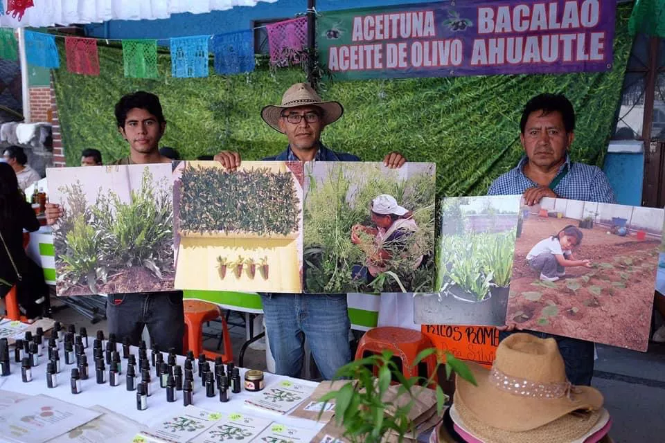 DB6D742B-EDCD-4F42-88D6-A744B7563733