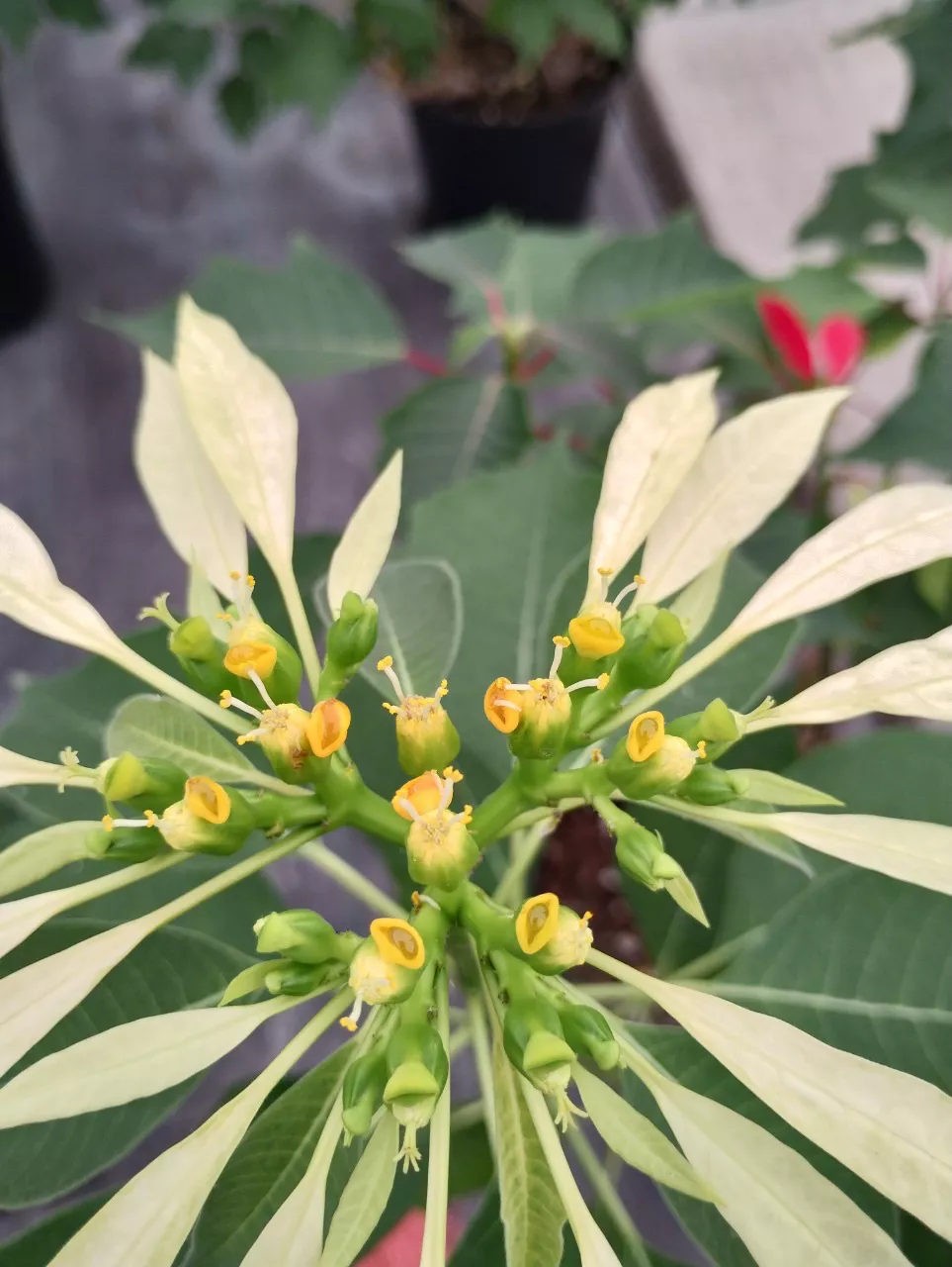 A21837BE-4510-4D2F-B7FE-98A4F0188493