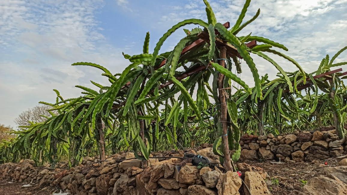 8FAA3968-972F-4A34-9311-428F65DE6F79