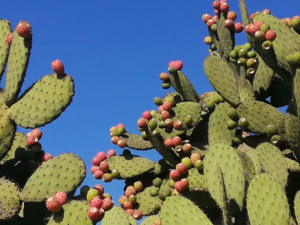 BB17C3F4-9E24-43FD-A6B3-02E7C15D96D5