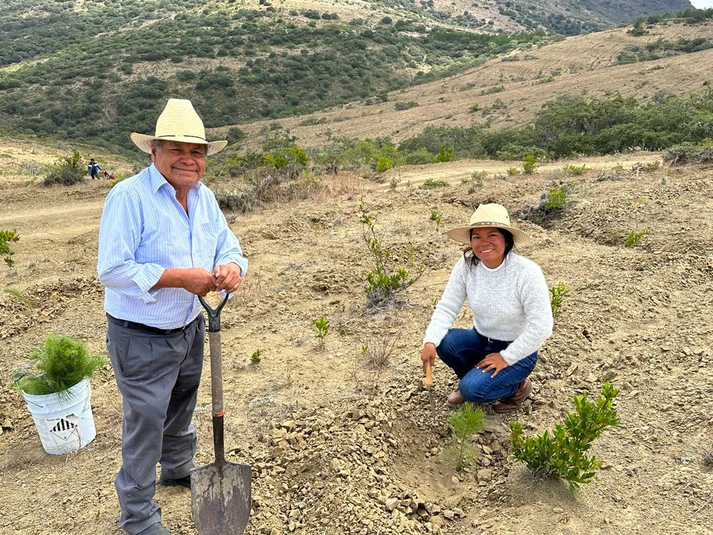 9C35DA06-9063-4042-8318-318D24896B6F