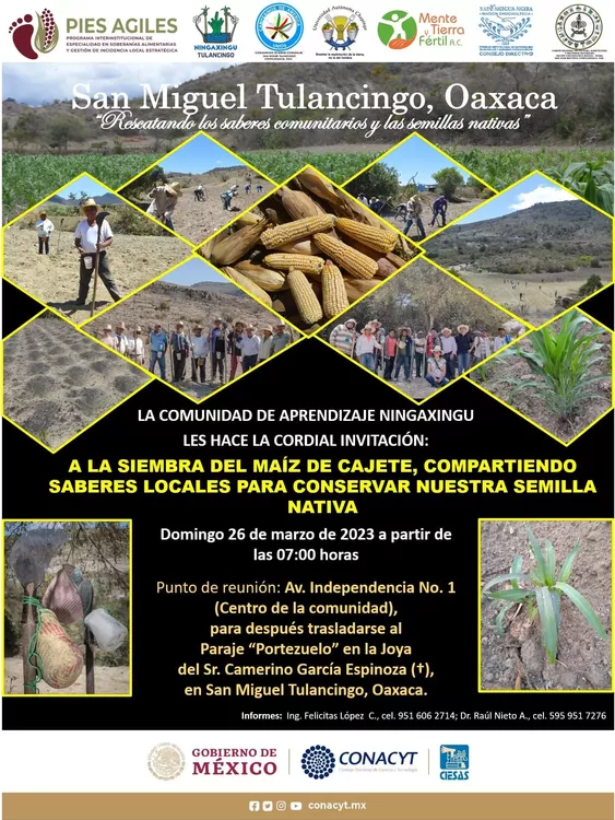 B0732693-9A70-4AE1-8755-4E9678CE23B8