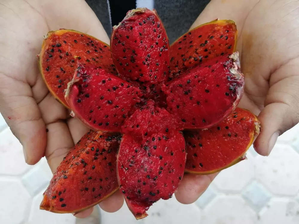 82AA78BE-B686-430D-9205-900D6CA54697