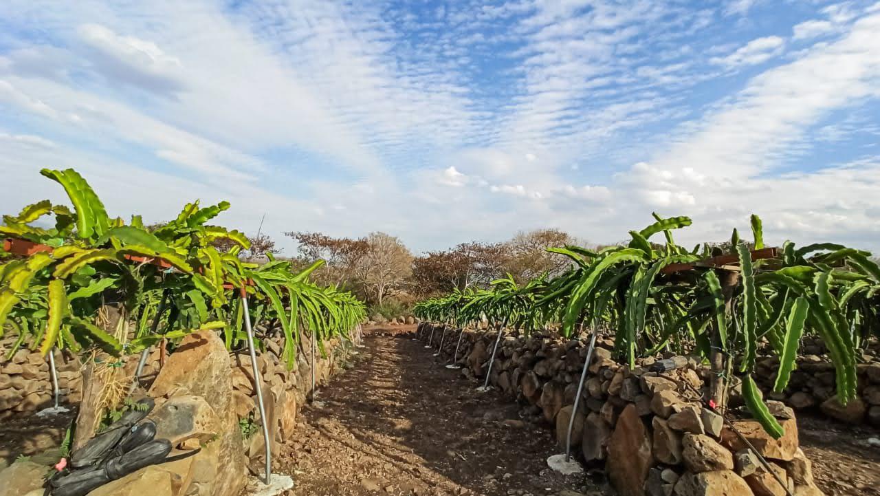 68FB3AC4-5C54-4AD5-A1DA-30415BA1786C