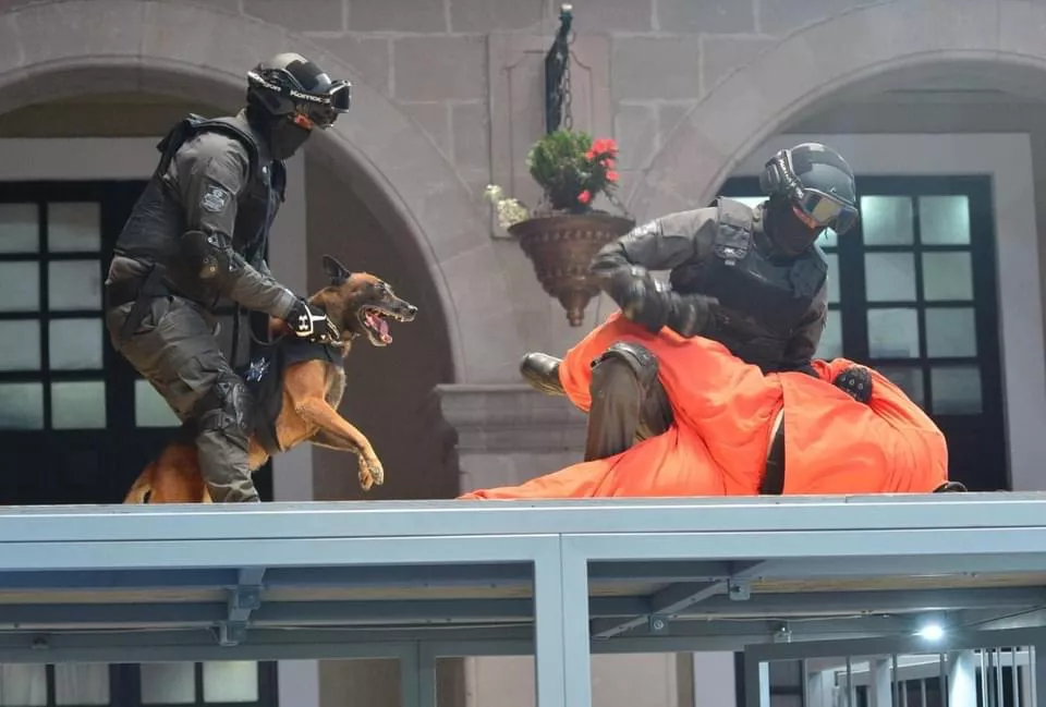 673281FA-9E44-402A-AD5B-3E34EF288F07