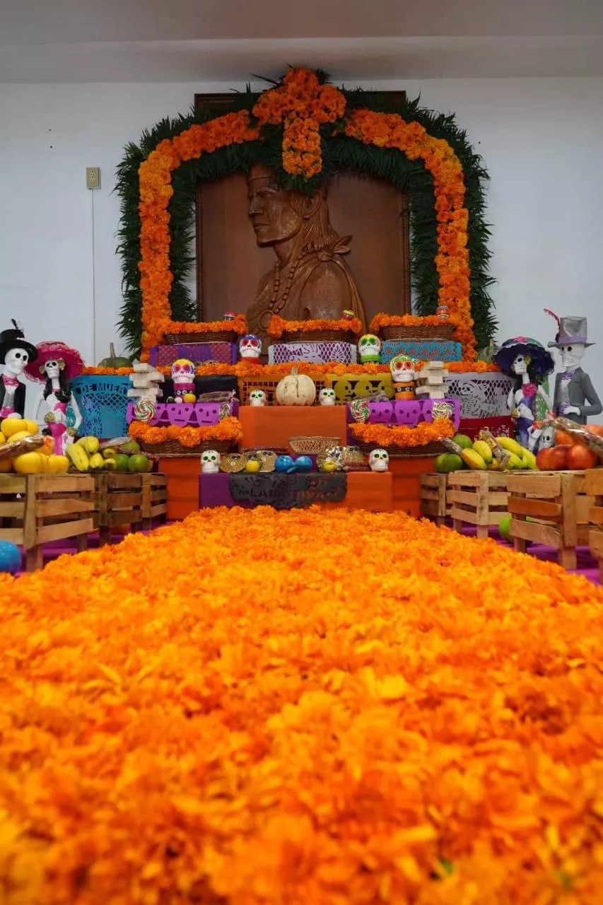 6B8D1244-EEFD-451F-8773-6C45759A509A