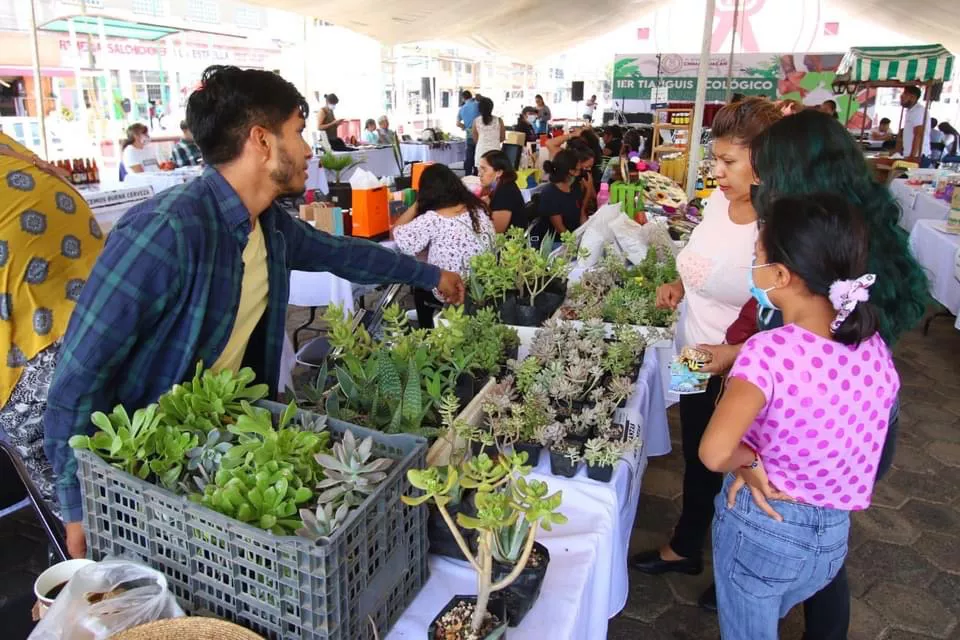 6C7F89D9-FD9B-4DC9-80AD-FA30B935EDF7