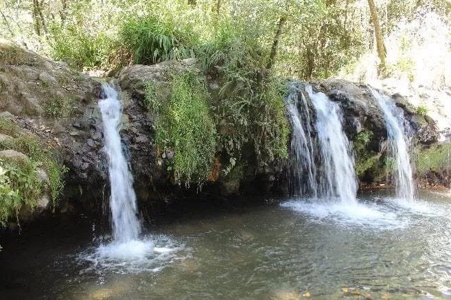 15D48267-C684-4170-B932-68D6485A2BE8