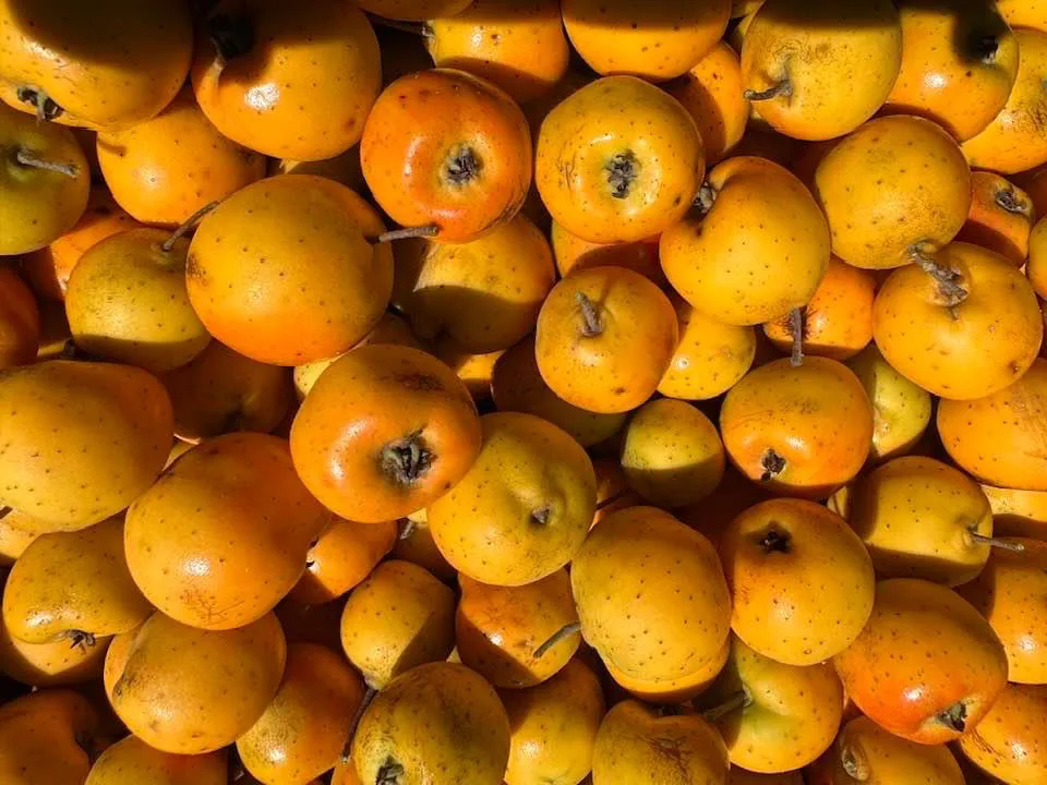 4D469B8B-CC3A-4C17-ACD1-AEA7DE4F1F9A