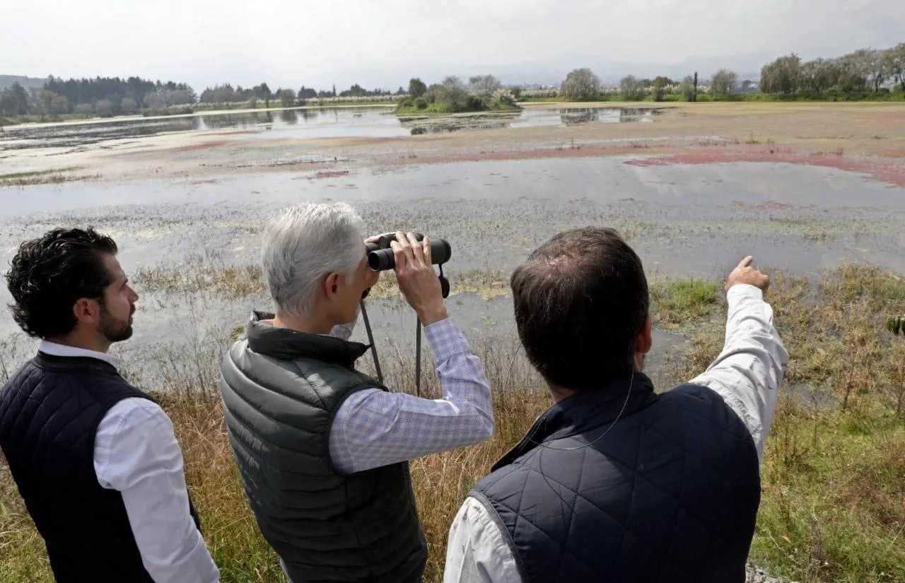 DEA7A4D2-A496-46D9-A744-6179E59C8866