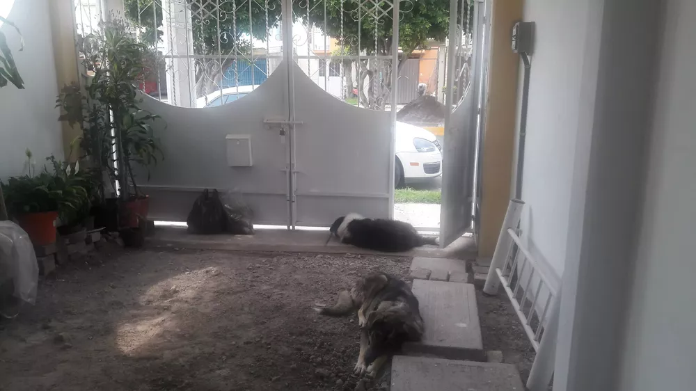 E47E849C-04B7-4340-B52A-E7B533FF2056