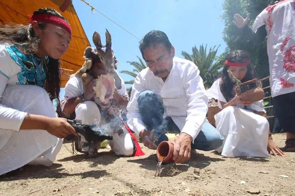 26BA938E-1F76-4162-A336-F7BD0BC8722C