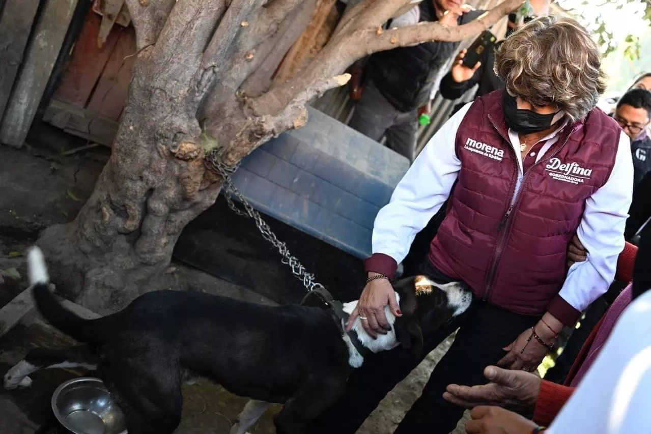 950E37F9-0E37-4FA8-9C84-FA99AF44AFDF