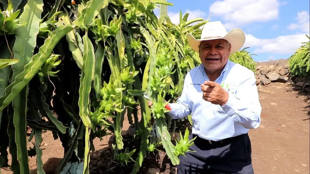 3B428C88-F50A-41A5-BED4-0A2B06A575B2