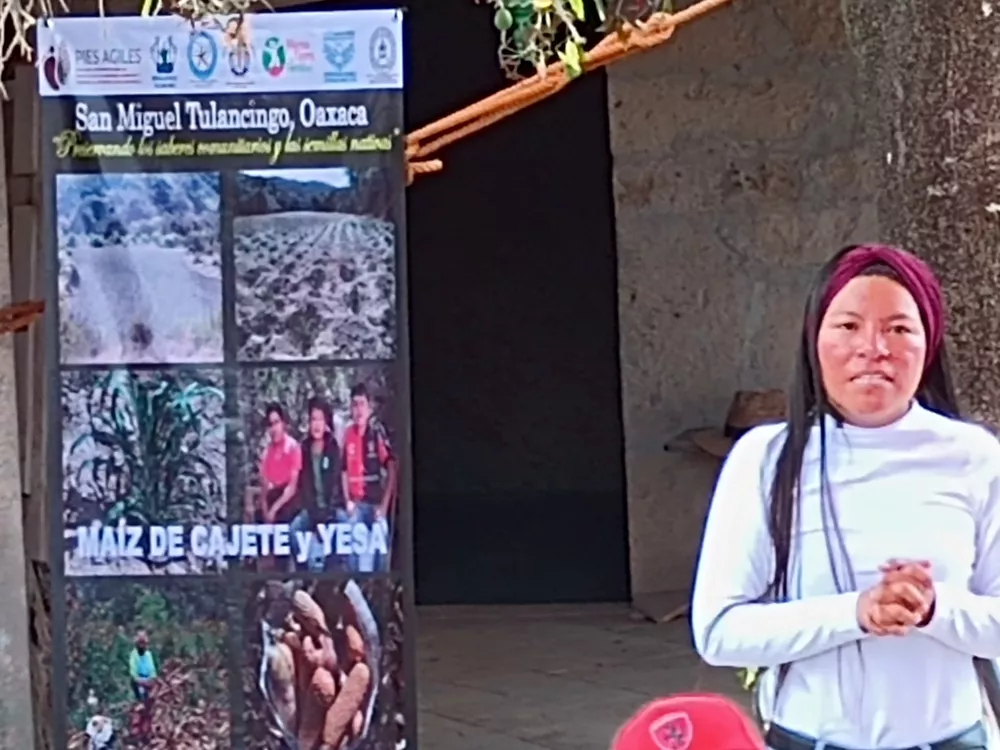 FE280983-9B93-41CA-BCAE-E003EF13C781