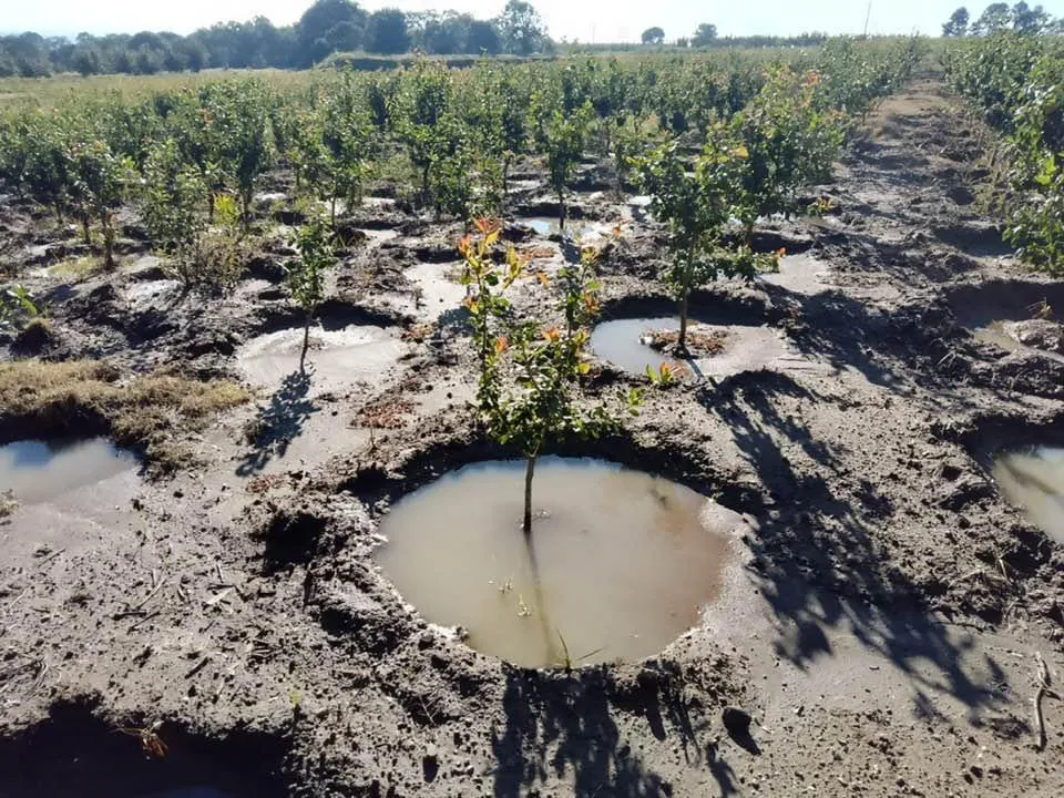 5D526ED0-8DBE-4D23-AD1C-C84D2E6C8D82