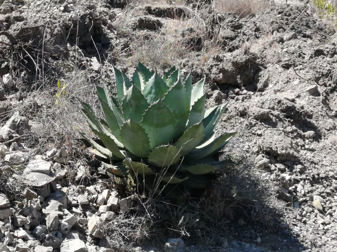 DE5E6850-F9B3-4428-B039-F36DEB2B2C76