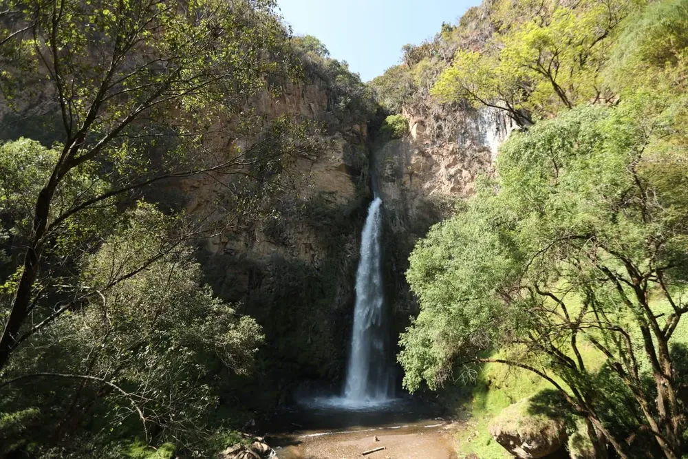 72DD9B94-B31C-4096-8286-97D9CE627FFC