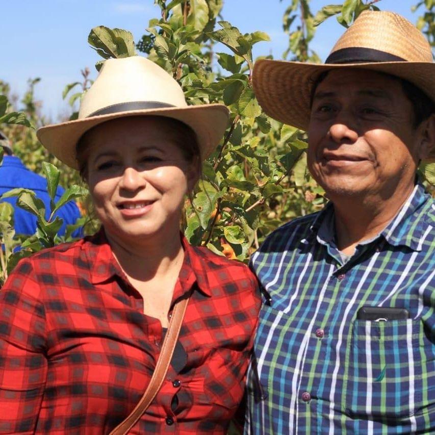 738E980E-9340-4C78-8A9D-D315A1342D42