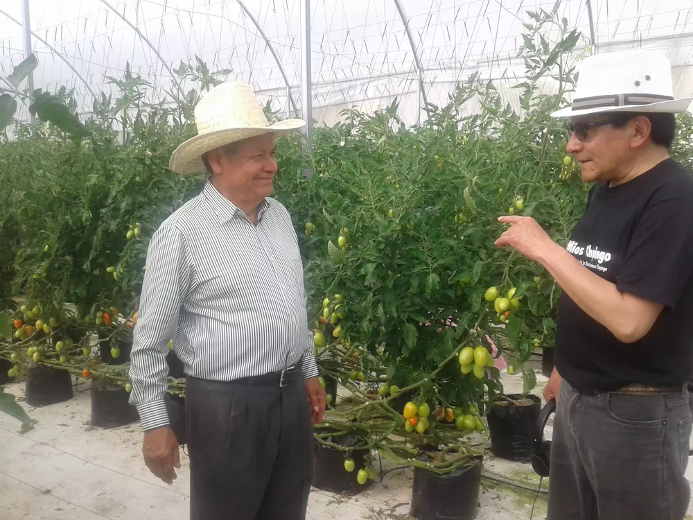 E6CBC6DB-B3FA-4155-AF93-872ED5D12E88