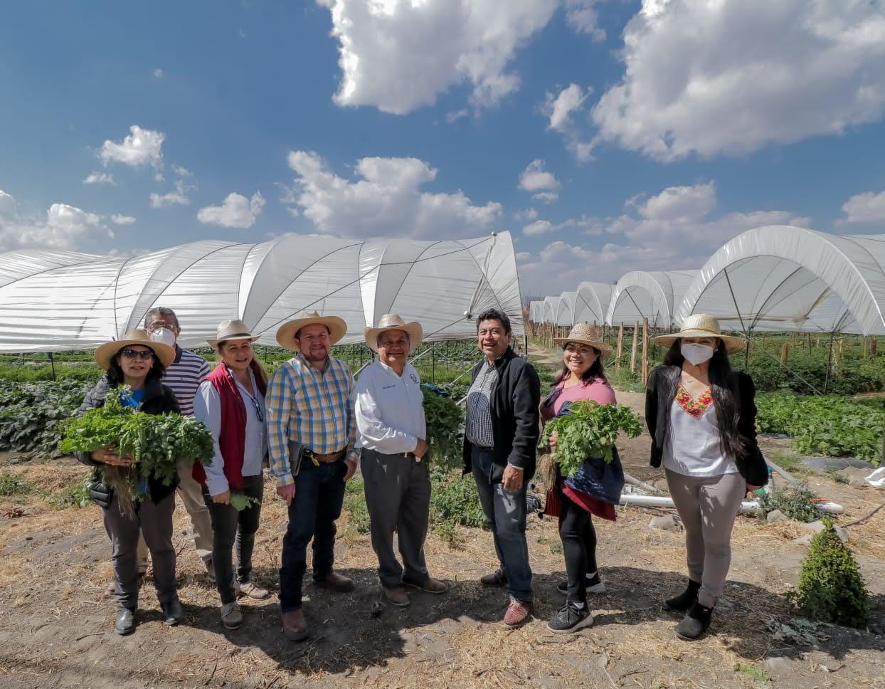 C10F6FDC-4E5D-400A-9B5D-F7A2D96106C3