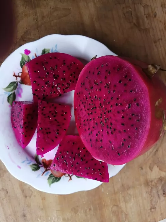 CFF8BED7-5E94-4F70-A76D-FD55B4D33622