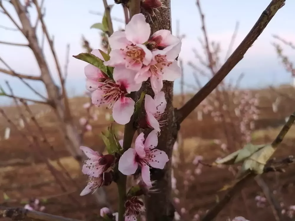 64248EA8-245B-4CBB-9DBC-AF05198362E2